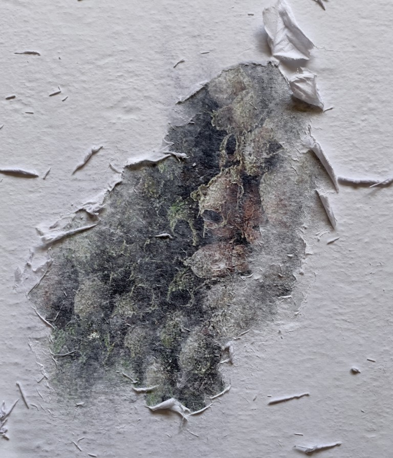 Image Transfer Process 2 – Studio Documentation