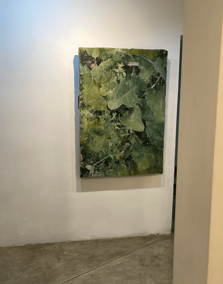 Ruderales botanical installation in a gallery space.