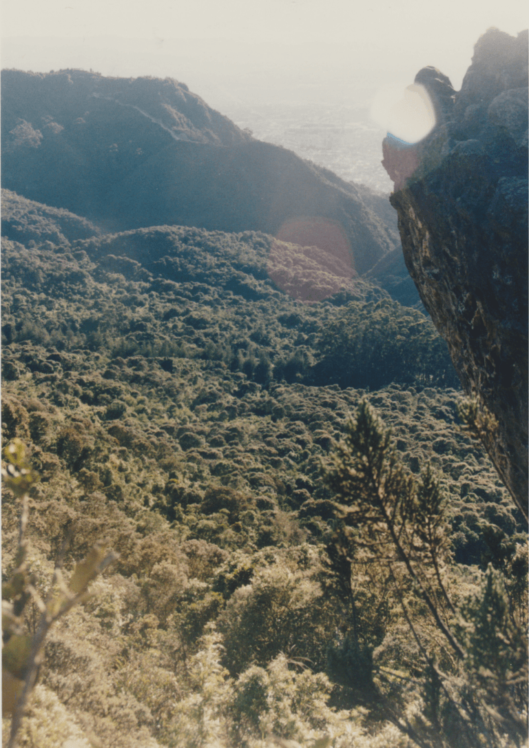 Open high-altitude páramo landscape in the Eastern Andes of Colombia.
