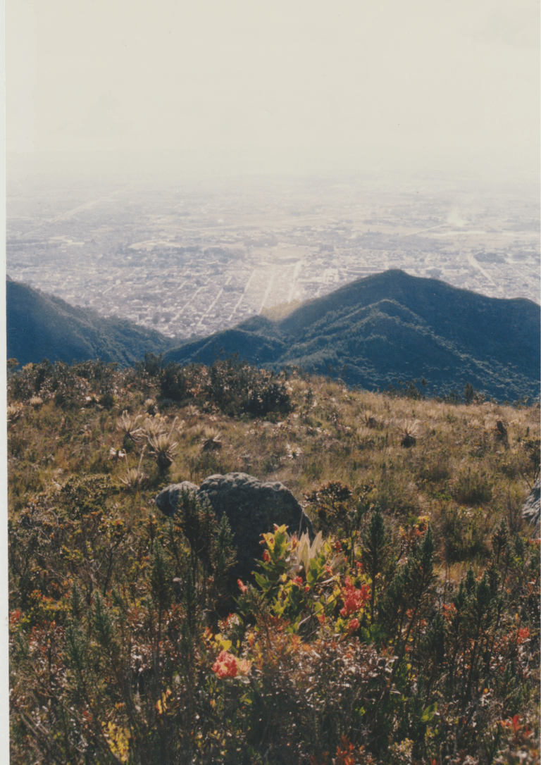 Andean páramo valley covered by native vegetation beneath a cloudy mountain sky.