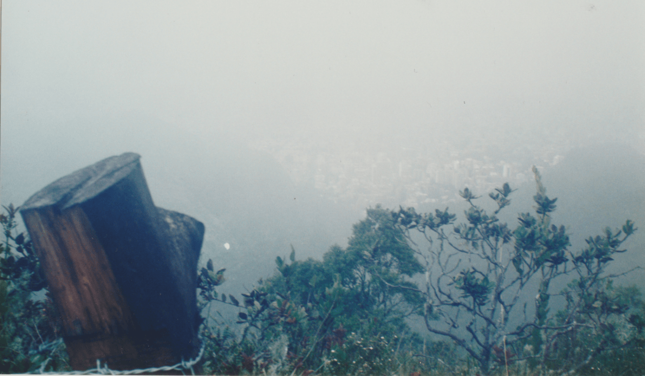 Low clouds and mist moving across the páramo vegetation at La Cumbrera near Bogotá.