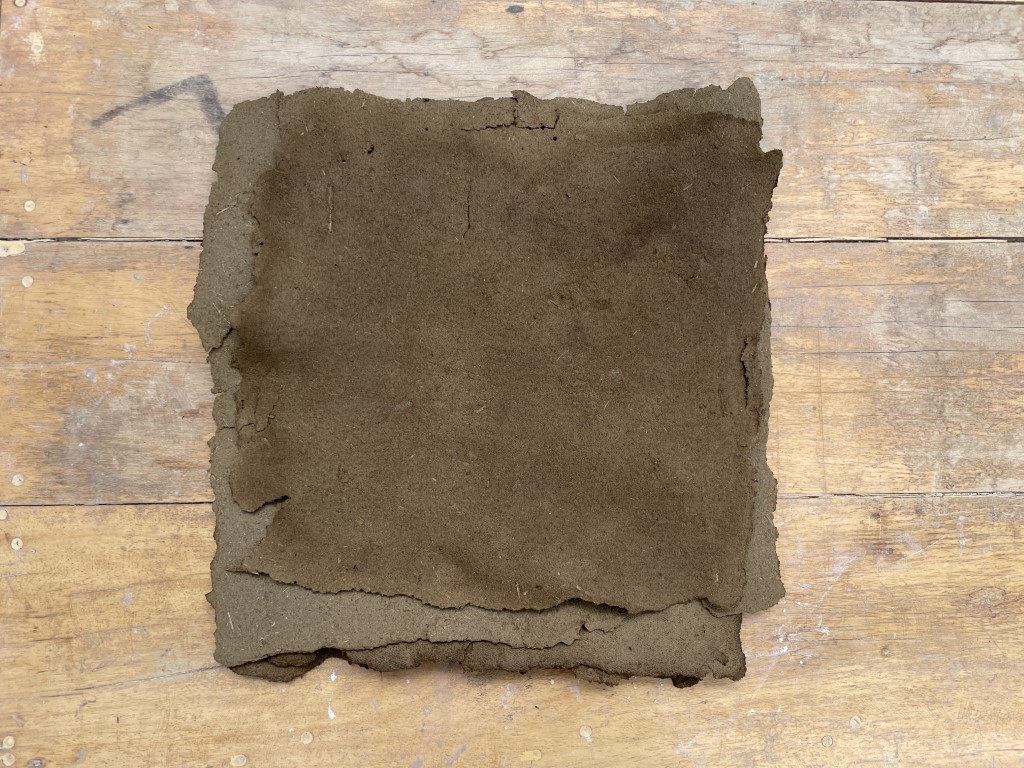 Frailejon Paper batch -Páramo Matter & Dye Investigation (Bogotá Mountains)