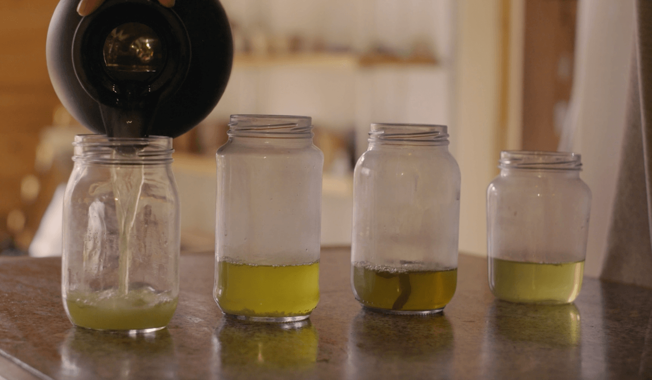 Prepering Tincture and dye - Páramo Matter & Dye Investigation (Bogotá Mountains)