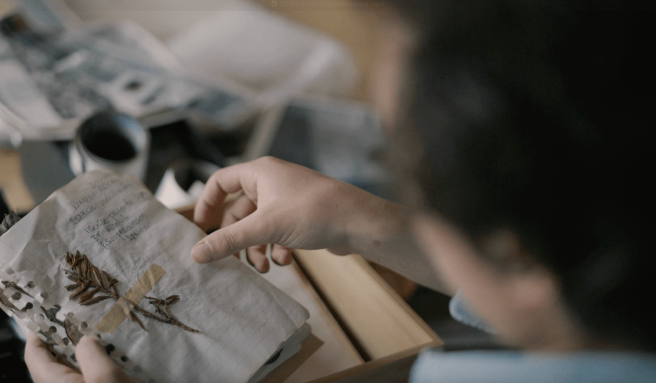 Selecting archive - Paramo mountain