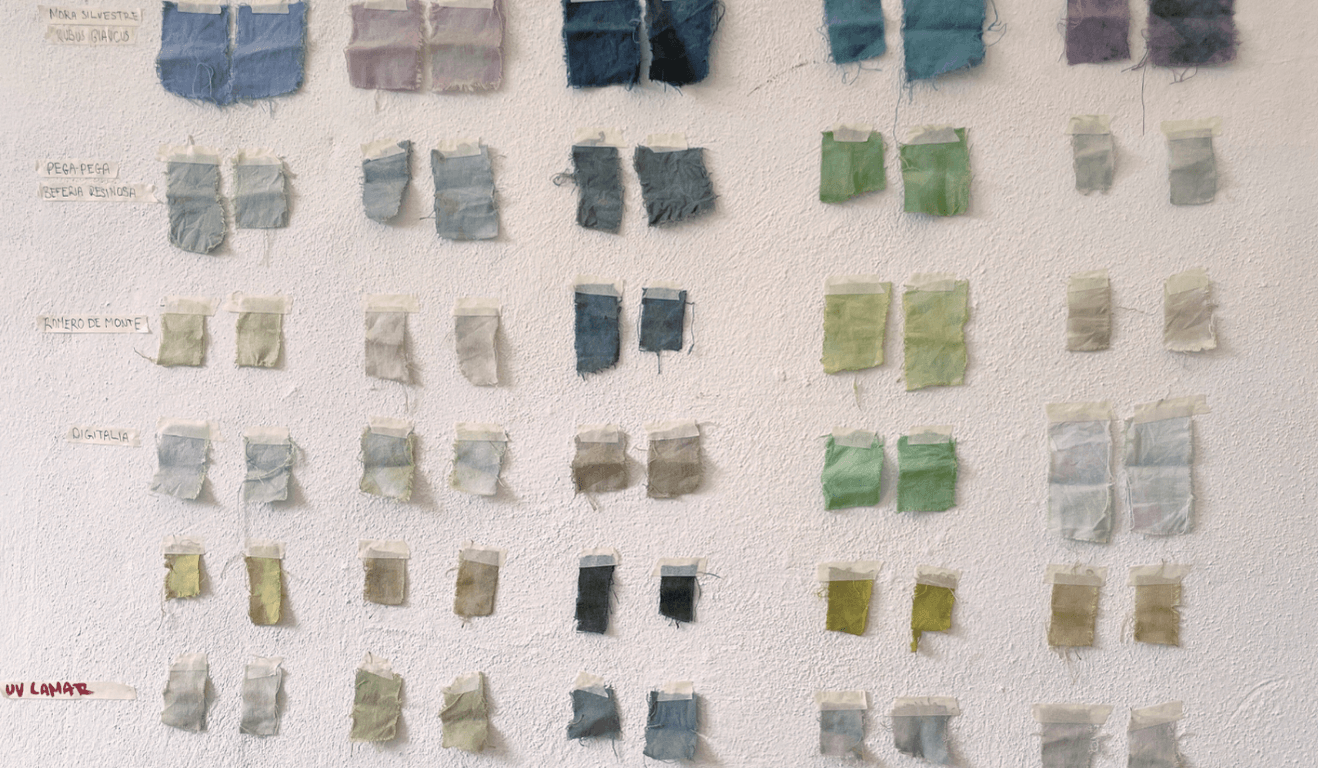 Dye test grid for a páramo material investigation.